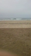 2010070308120000.jpg