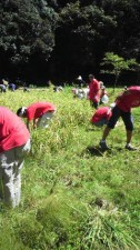 2011091811310000.jpg