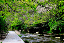 粟又の滝自然遊歩道